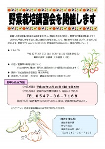 野菜講習会