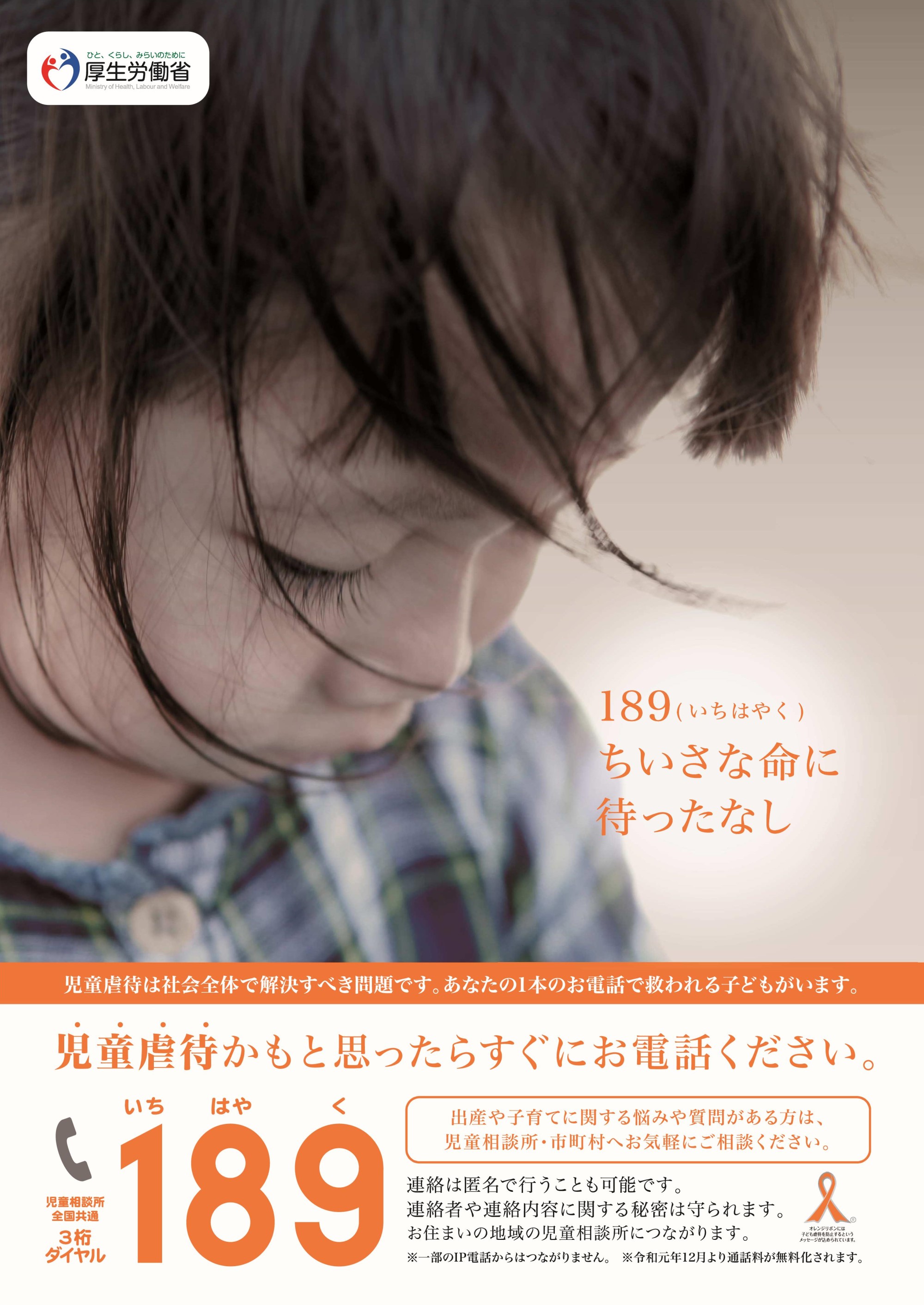 PDF ファイル