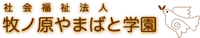 head_logo
