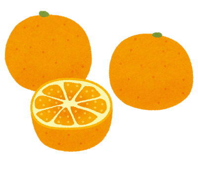 fruit_mikan_set
