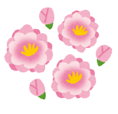 flower_momo