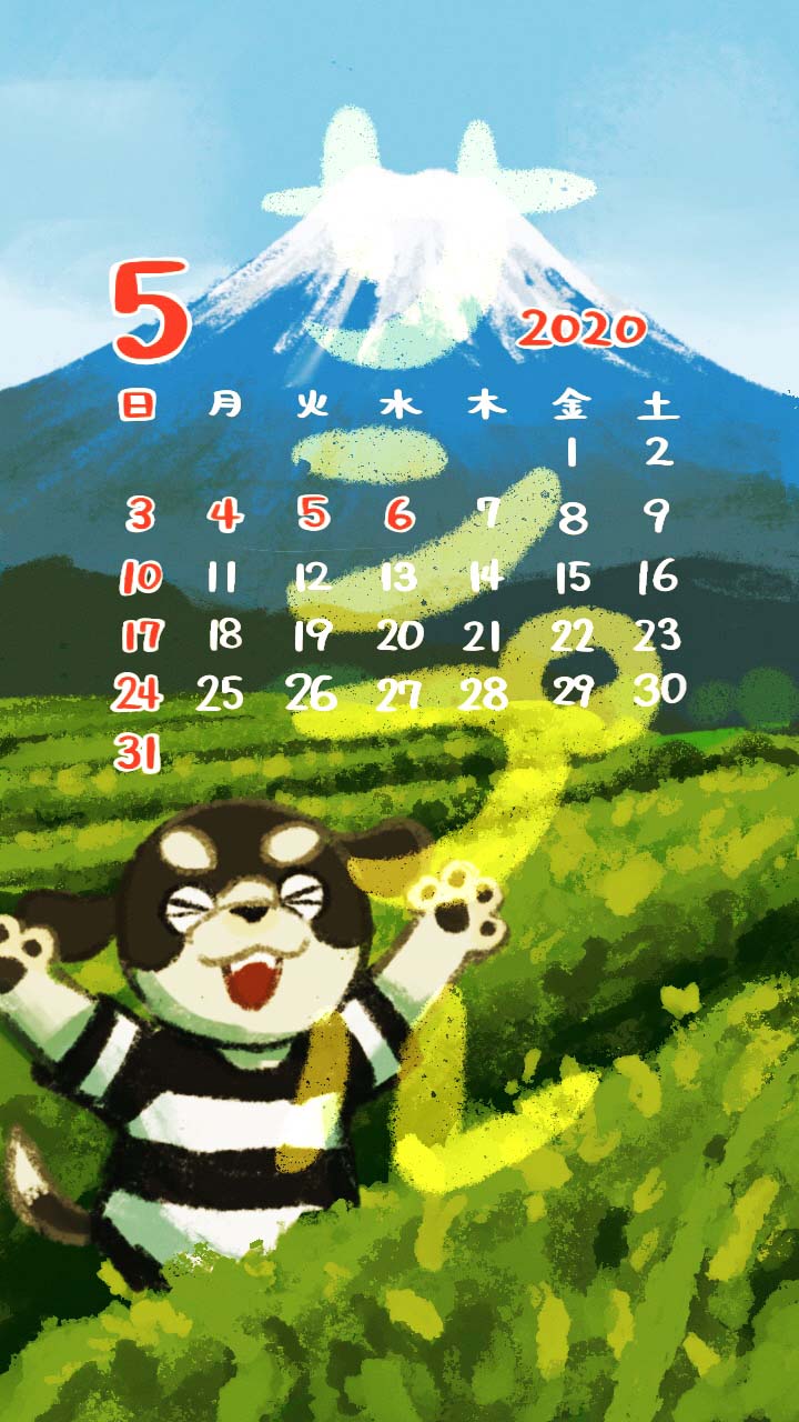 5月サンプル