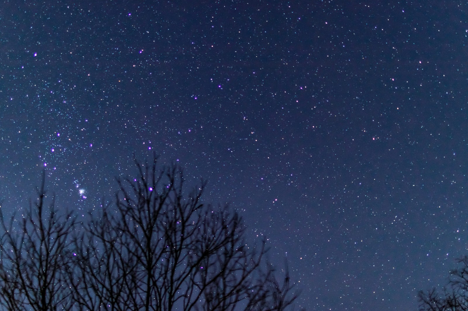 かなや星空の会🌟秋の星空観察会