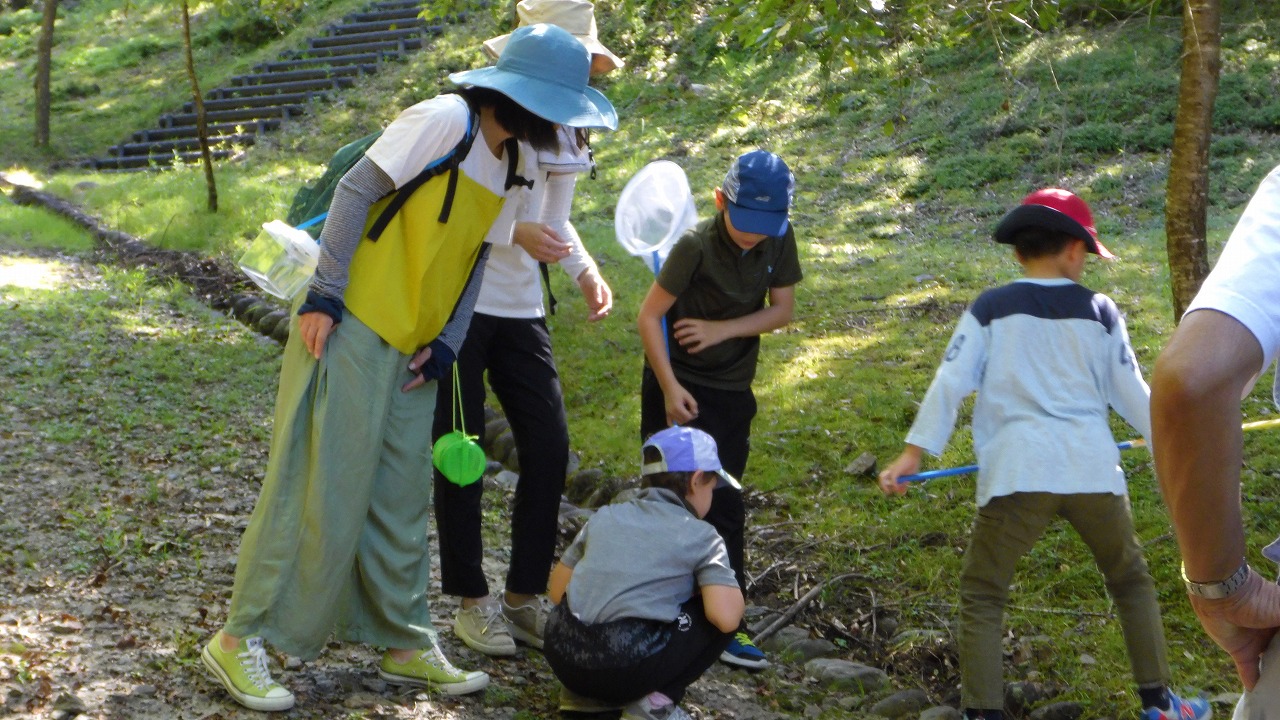 親子野遊び教室🐞夏の昆虫観察入門編