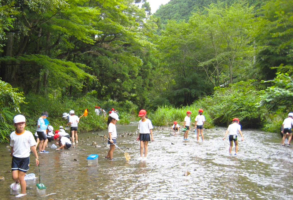 特認校(大津小学校)転入学生の募集