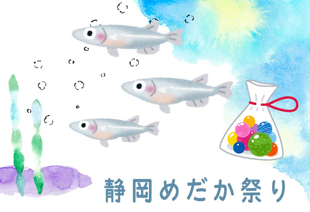 静岡めだか祭りin蓬莱橋