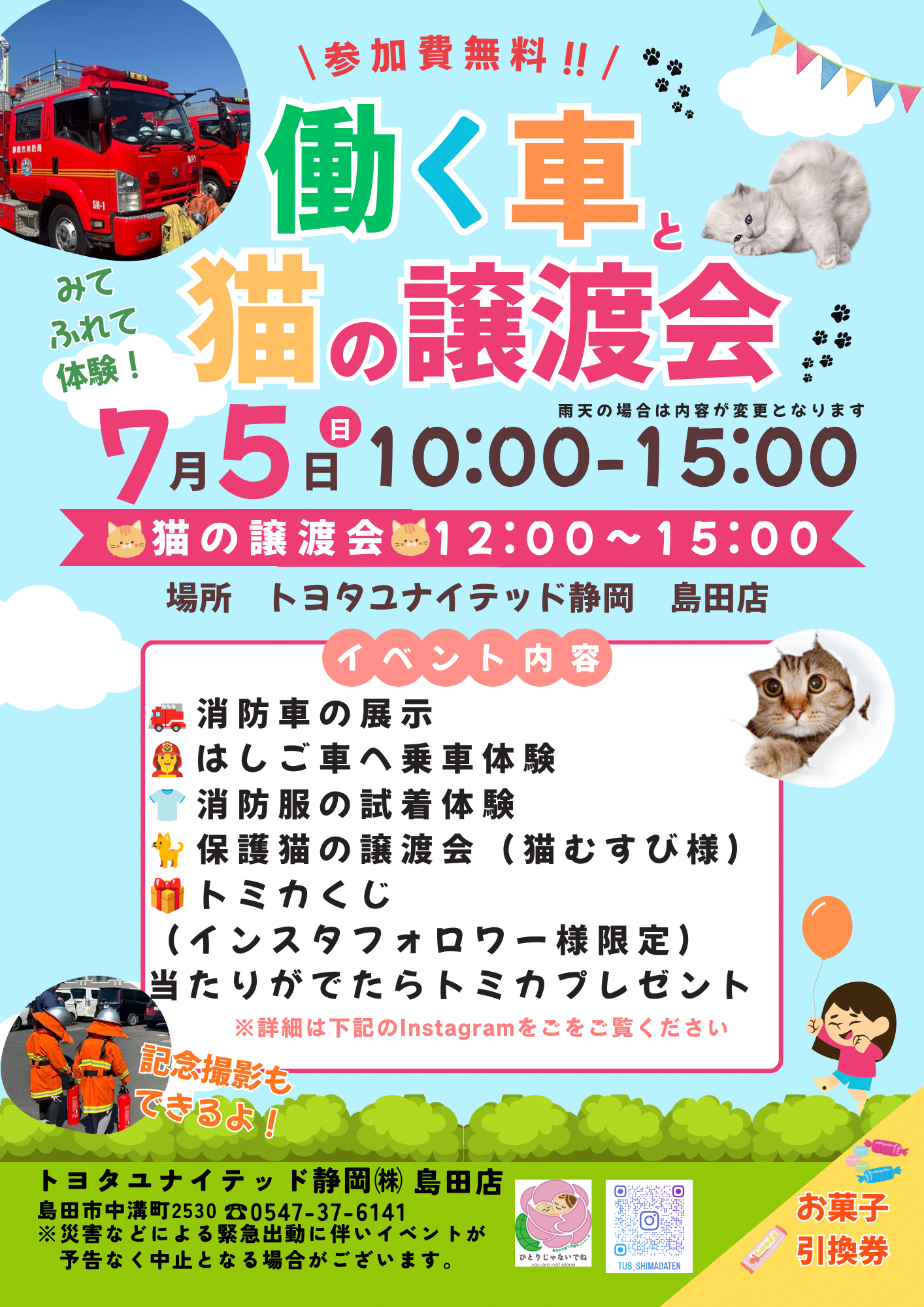 ユナフェス~はたらく車と保護猫譲渡会~